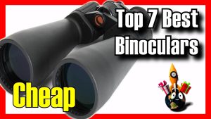 Best binoculars