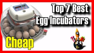 Egg incubators