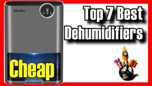 Best dehumidifiers