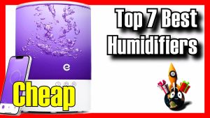 Best humidifiers