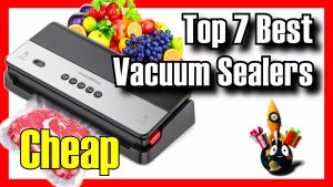 Best vacuum sealers