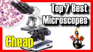 Best microscopes